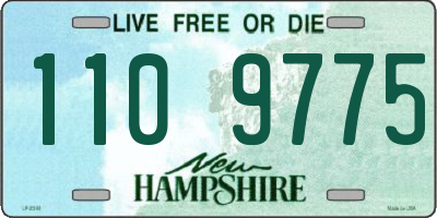 NH license plate 1109775