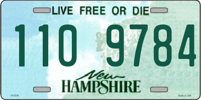 NH license plate 1109784
