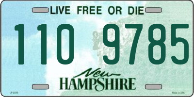 NH license plate 1109785