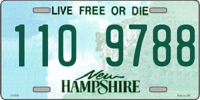 NH license plate 1109788