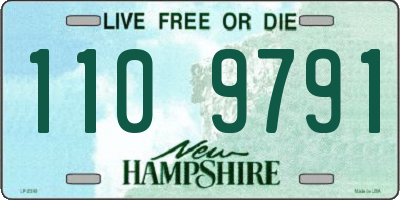 NH license plate 1109791