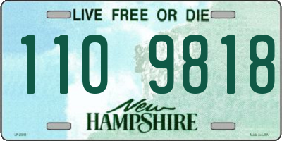 NH license plate 1109818