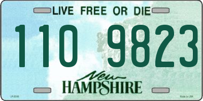 NH license plate 1109823