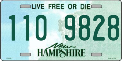 NH license plate 1109828