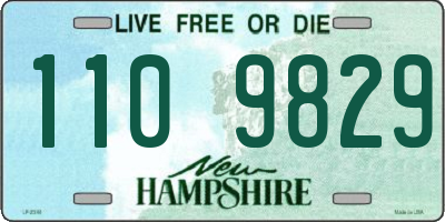 NH license plate 1109829