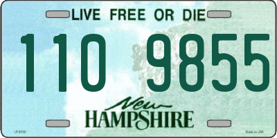 NH license plate 1109855