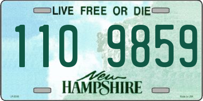 NH license plate 1109859