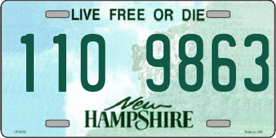 NH license plate 1109863