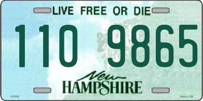 NH license plate 1109865