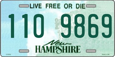 NH license plate 1109869