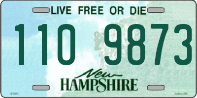 NH license plate 1109873