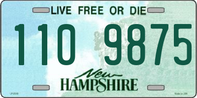 NH license plate 1109875