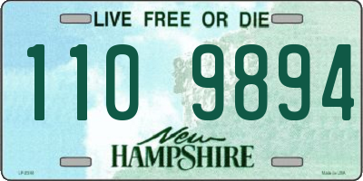 NH license plate 1109894