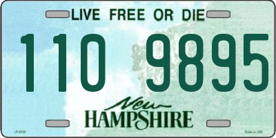 NH license plate 1109895