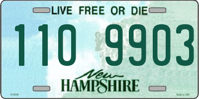 NH license plate 1109903