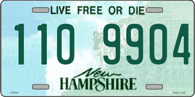 NH license plate 1109904