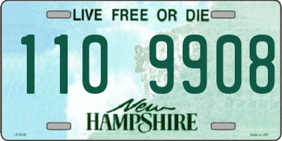 NH license plate 1109908