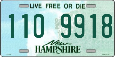 NH license plate 1109918