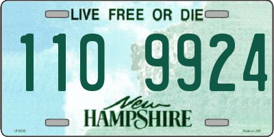 NH license plate 1109924