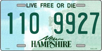 NH license plate 1109927