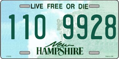 NH license plate 1109928