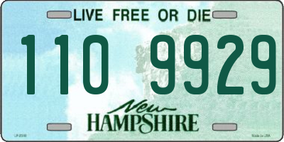NH license plate 1109929