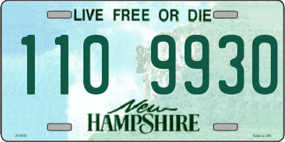NH license plate 1109930