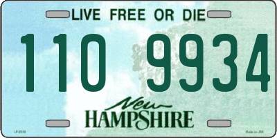 NH license plate 1109934