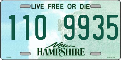 NH license plate 1109935