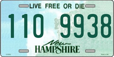 NH license plate 1109938