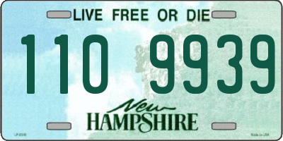 NH license plate 1109939