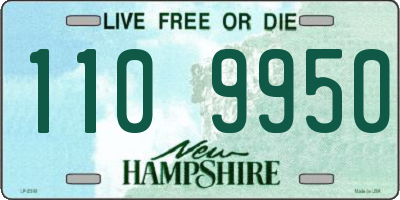 NH license plate 1109950