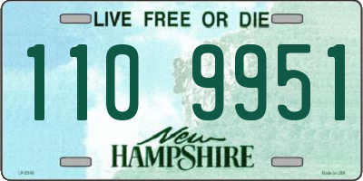 NH license plate 1109951