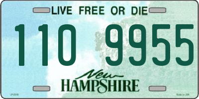 NH license plate 1109955