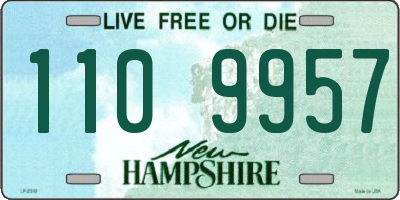 NH license plate 1109957