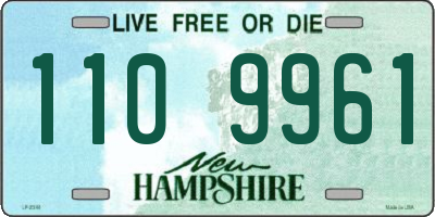 NH license plate 1109961