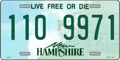 NH license plate 1109971