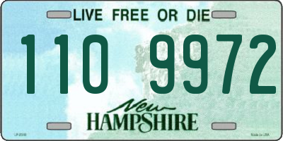 NH license plate 1109972