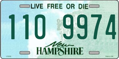 NH license plate 1109974