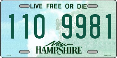 NH license plate 1109981