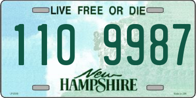 NH license plate 1109987