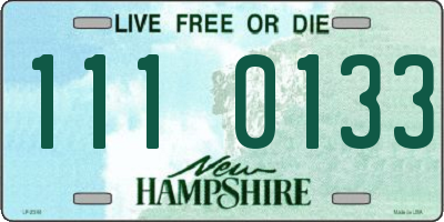 NH license plate 1110133