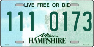 NH license plate 1110173