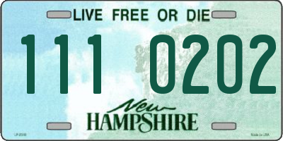 NH license plate 1110202