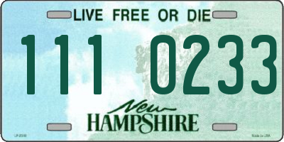NH license plate 1110233