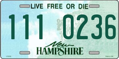 NH license plate 1110236