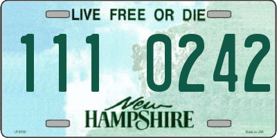 NH license plate 1110242
