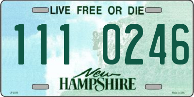 NH license plate 1110246