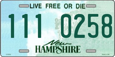 NH license plate 1110258