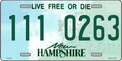NH license plate 1110263